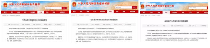 受非瘟影响终于转向了！不再一味的禁养强拆猪场，开始重新规划生猪产业