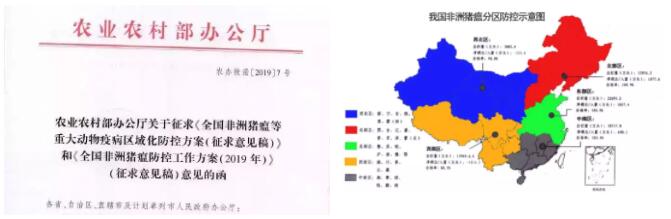 受非瘟影响终于转向了！不再一味的禁养强拆猪场，开始重新规划生猪产业